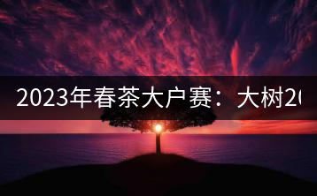 2023年春茶大戶賽：大樹200-300元／公斤，古樹800-1000元／公斤