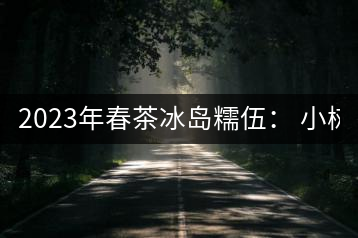 2023年春茶冰島糯伍： 小樹(shù)1300元／公斤，古樹(shù)：2100~2300元／公斤