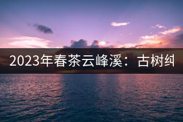 2023年春茶云峰溪：古樹純料：1200-1500元／公斤，古樹混采800-1000元／公斤，大樹500-800元／公斤，小樹300-500元／公斤