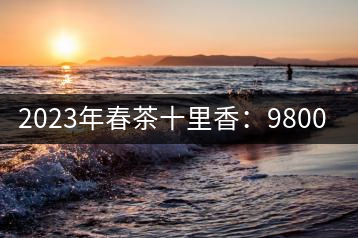 2023年春茶十里香：9800-12000元／公斤，十里香紅茶：9800-12000元／公斤