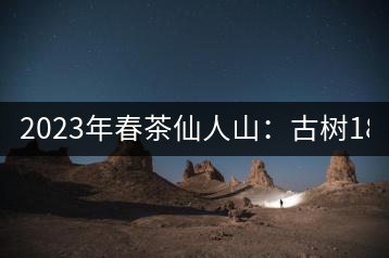 2023年春茶仙人山：古樹1800-2500元／公斤，老曼峨：小樹：600元／公斤 1600-1800元／公斤