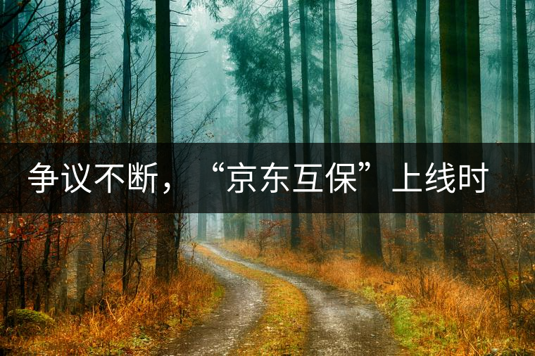 爭(zhēng)議不斷，“京東互?！鄙暇€時(shí)間未定