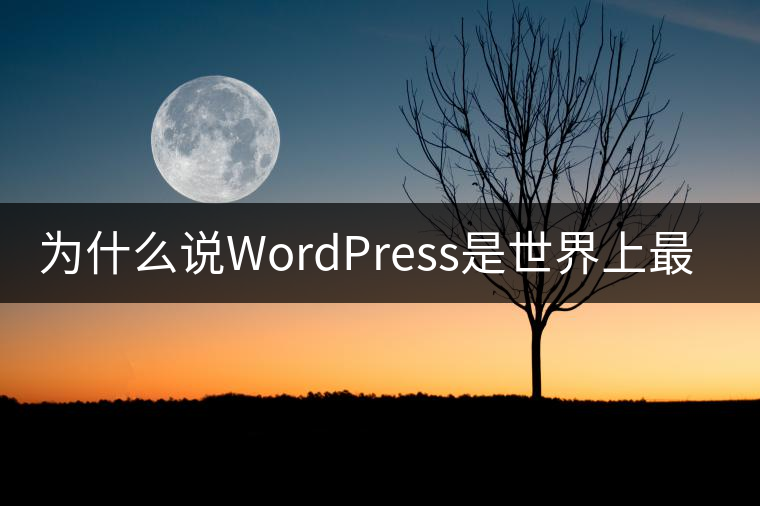 為什么說WordPress是世界上最好的CMS? 為什么說WordPress是世界上最好的CMS?
