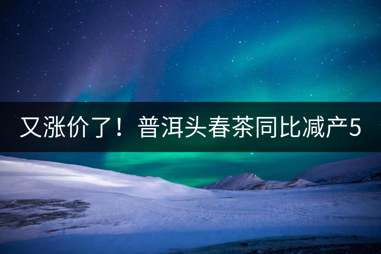 又漲價(jià)了！普洱頭春茶同比減產(chǎn)50%，薄荷塘一類鮮葉需當(dāng)面議價(jià)