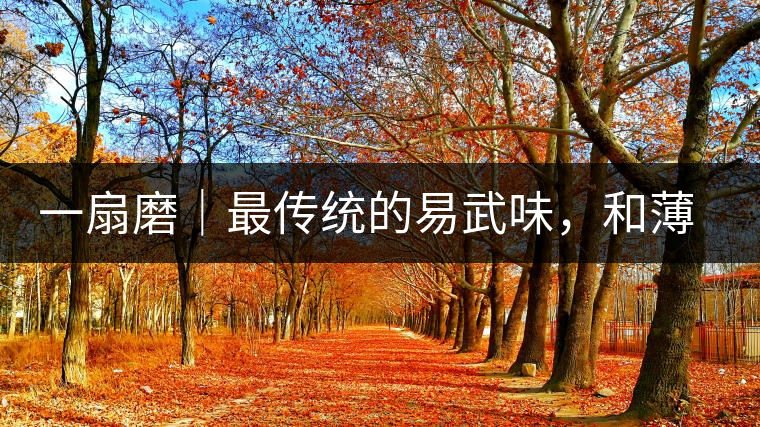 一扇磨｜最傳統(tǒng)的易武味，和薄荷塘一脈同宗，價格卻天差地別