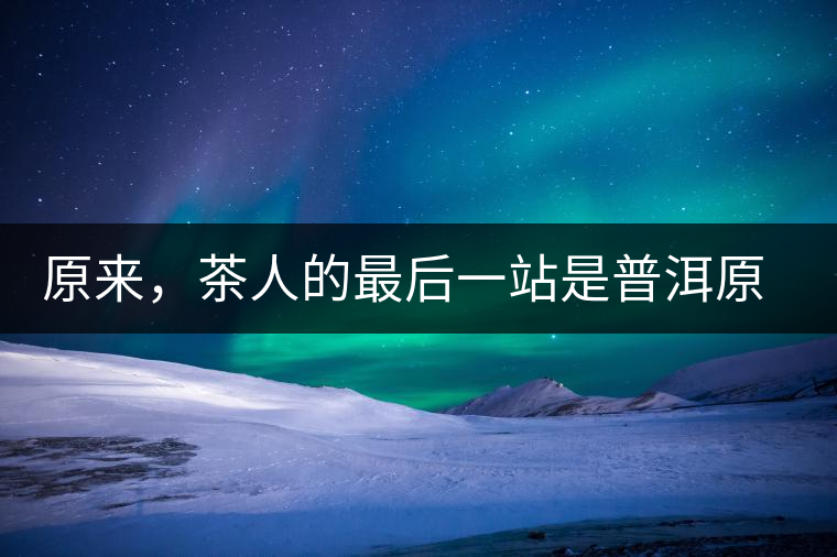 原來，茶人的最后一站是普洱原來，茶人的最后一站是普洱