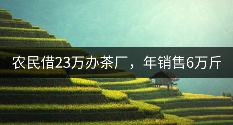 農(nóng)民借23萬辦茶廠，年銷售6萬斤，每天休息僅20分鐘!農(nóng)民借23萬辦茶廠，年銷售6萬斤，每天休息僅20分鐘！