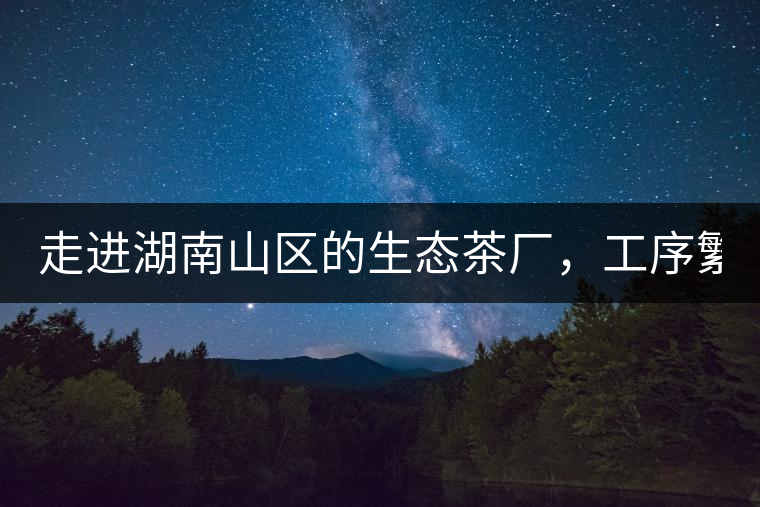 走進湖南山區(qū)的生態(tài)茶廠，工序繁雜精細，538塊錢1斤真值走進湖南山區(qū)的生態(tài)茶廠，工序繁雜精細，538塊錢1斤真值