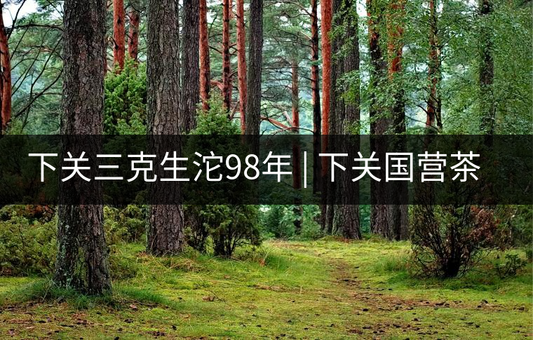 下關(guān)三克生沱98年 | 下關(guān)國(guó)營(yíng)茶廠出口料，干倉(cāng)儲(chǔ)存，...下關(guān)三克生沱98年 | 下關(guān)國(guó)營(yíng)茶廠出口料，干倉(cāng)儲(chǔ)存，19年老茶！