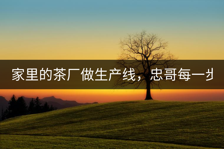 家里的茶廠做生產(chǎn)線，忠哥每一步都親自做，每個(gè)步驟...家里的茶廠做生產(chǎn)線，忠哥每一步都親自做，每個(gè)步驟都非常嚴(yán)謹(jǐn)！