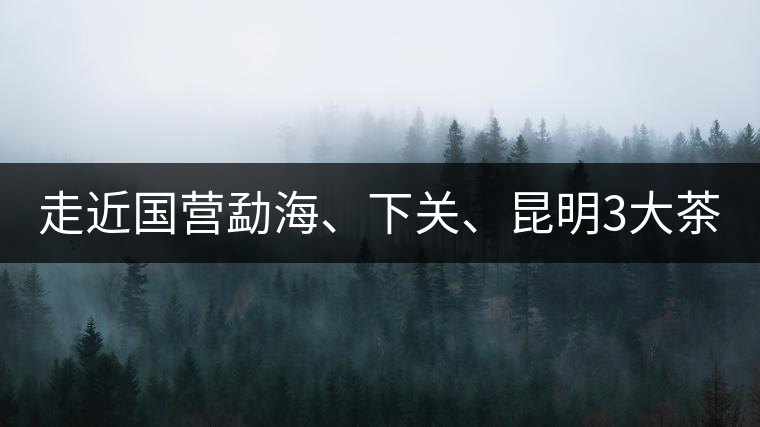 走近國營勐海、下關(guān)、昆明3大茶廠，傳世代表作的發(fā)展詳...走近國營勐海、下關(guān)、昆明3大茶廠，傳世代表作的發(fā)展詳解
