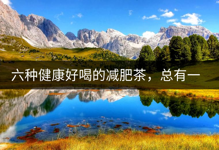 六種健康好喝的減肥茶，總有一種適合你