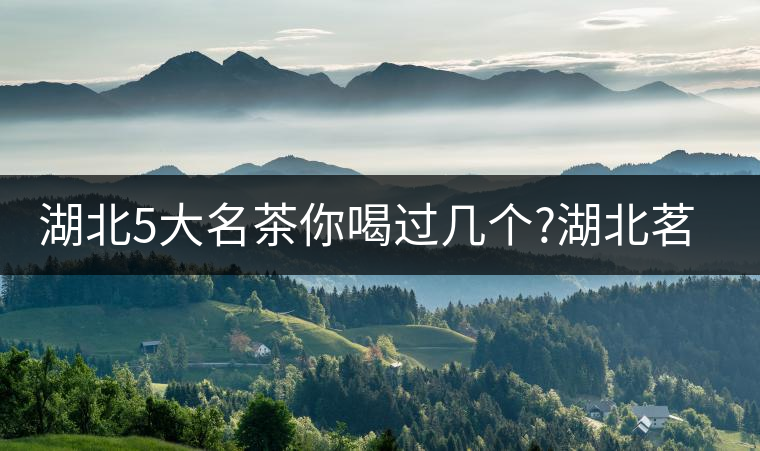 湖北5大名茶你喝過幾個(gè)?湖北茗茶的歷史故事?湖北茶哪...湖北5大名茶你喝過幾個(gè)？湖北茗茶的歷史故事？湖北茶哪個(gè)產(chǎn)地好