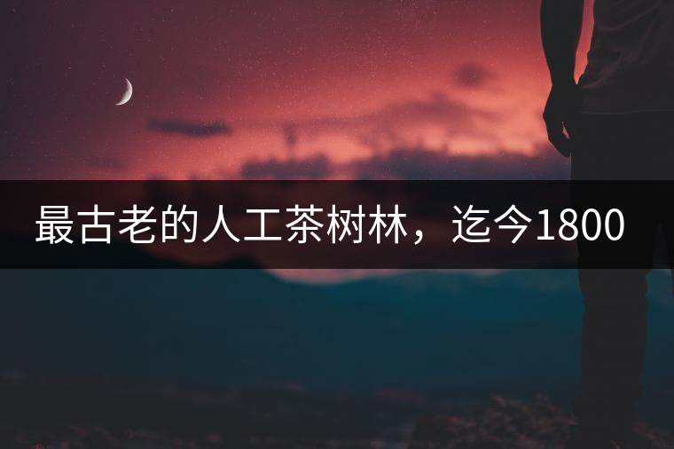 最古老的人工茶樹林，迄今1800年歷史，將申報(bào)世界文...最古老的人工茶樹林，迄今1800年歷史，將申報(bào)世界文化遺產(chǎn)