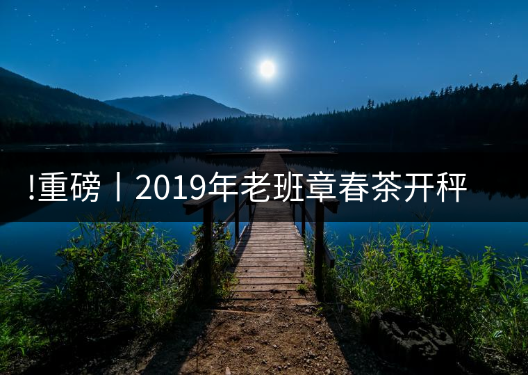 !重磅丨2019年老班章春茶開秤，一筆定價(jià)？如此出人意料！