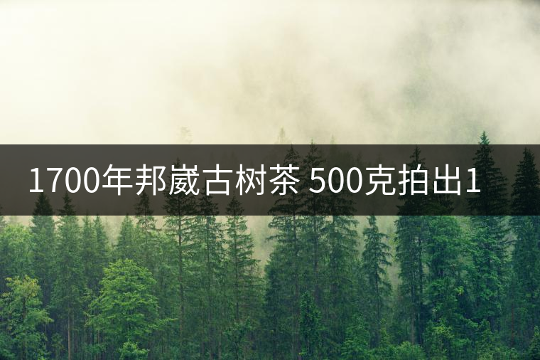 1700年邦崴古樹茶 500克拍出18萬元天價(jià) 1700年邦崴古樹茶 500克拍出18萬元天價(jià)
