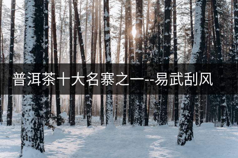 普洱茶十大名寨之一--易武刮風(fēng)寨普洱茶十大名寨之一——易武刮風(fēng)寨