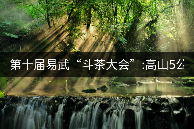 第十屆易武“斗茶大會(huì)”:高山5公斤15萬(wàn)，刮風(fēng)寨5公斤...第十屆易武“斗茶大會(huì)”：高山5公斤15萬(wàn)，刮風(fēng)寨5公斤30萬(wàn)...