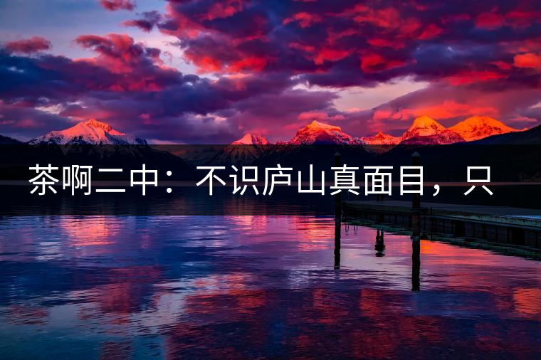 茶啊二中：不識(shí)廬山真面目，只識(shí)彎弓射大雕，賈淳真搞笑