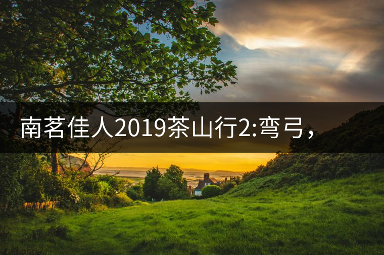 南茗佳人2019茶山行2:彎弓，一路艱辛，只為這有生命...南茗佳人2019茶山行2：彎弓，一路艱辛，只為這有生命厚度的茶！