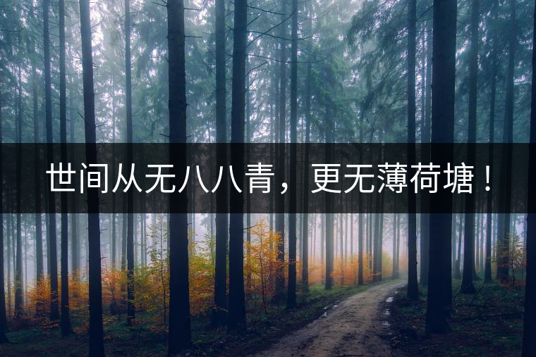 世間從無(wú)八八青，更無(wú)薄荷塘 !