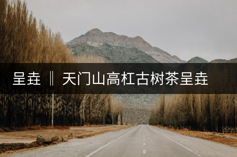 呈垚 ‖ 天門(mén)山高杠古樹(shù)茶呈垚 ‖ 天門(mén)山高杠古樹(shù)茶 呈垚 ‖ 天門(mén)山高杠古樹(shù)茶呈垚 ‖ 天門(mén)山高杠古樹(shù)茶