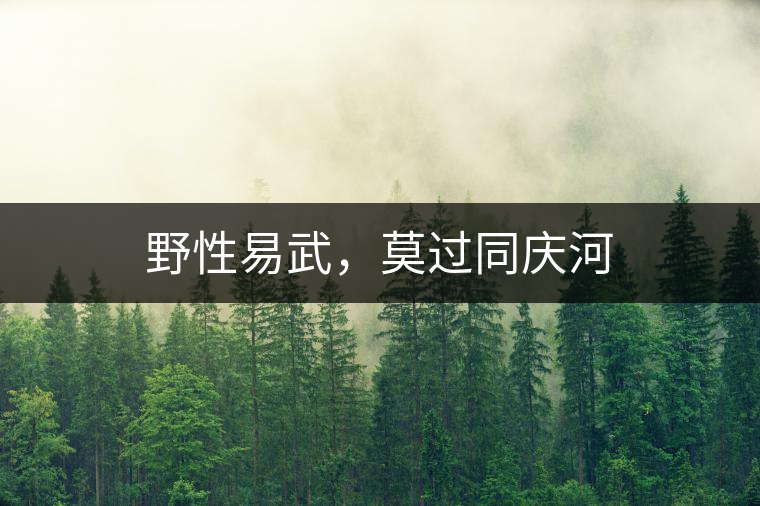 野性易武，莫過(guò)同慶河