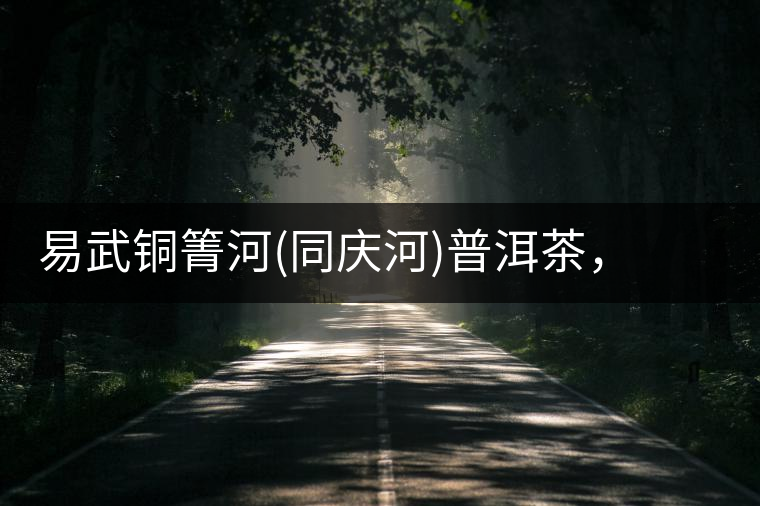 易武銅箐河(同慶河)普洱茶，讓我拜倒的不止它的口感易武銅箐河（同慶河）普洱茶，讓我拜倒的不止它的口感