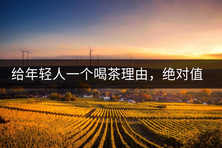給年輕人一個(gè)喝茶理由，絕對(duì)值得收藏的茶葉包裝給年輕人一個(gè)喝茶理由，絕對(duì)值得收藏的茶葉包裝