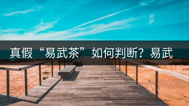 真假“易武茶”如何判斷？易武普洱茶有哪些特點？