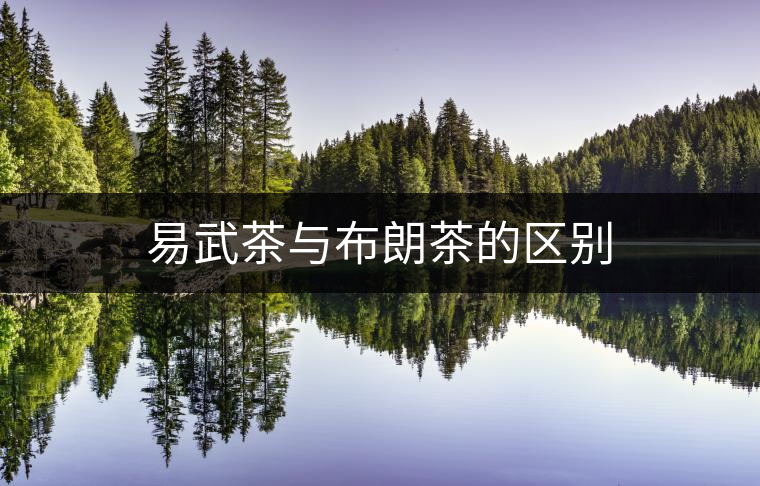 易武茶與布朗茶的區(qū)別 易武茶與布朗茶的區(qū)別