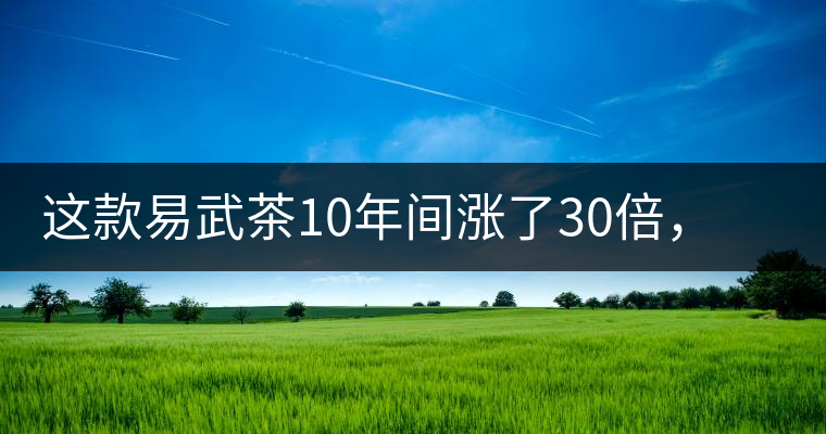 這款易武茶10年間漲了30倍，但已芳蹤罕見