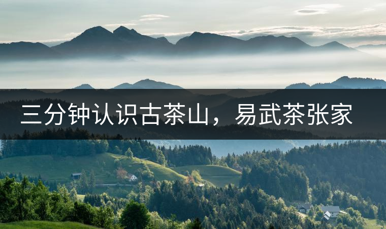 三分鐘認(rèn)識(shí)古茶山，易武茶張家灣寨普洱茶口感特點(diǎn)