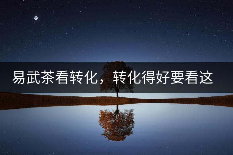 易武茶看轉(zhuǎn)化，轉(zhuǎn)化得好要看這三要素及品牌優(yōu)勢(shì)！