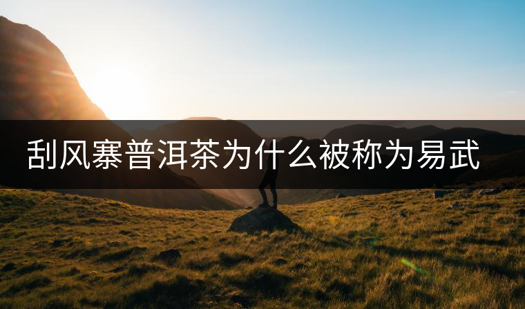 刮風(fēng)寨普洱茶為什么被稱為易武茶王？