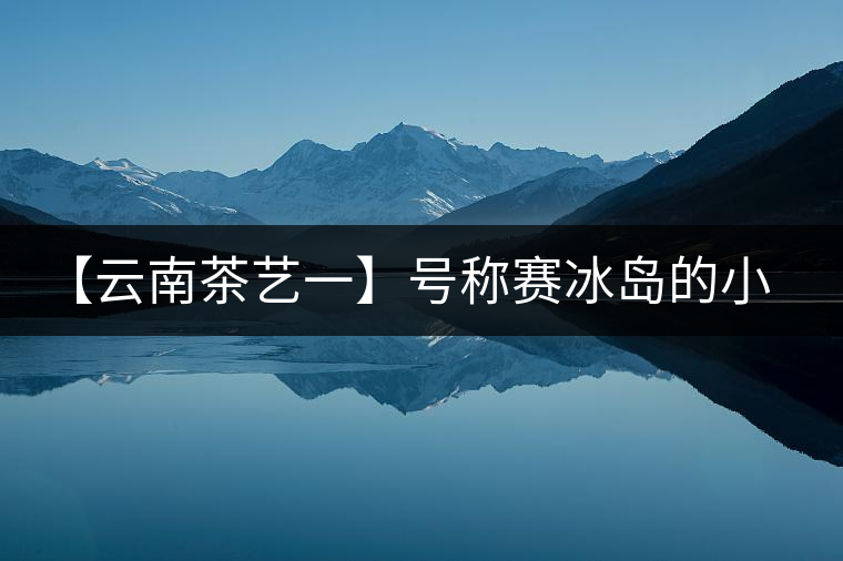 【云南茶藝一】號(hào)稱賽冰島的小戶賽憑什么！今天帶大家一起研究下