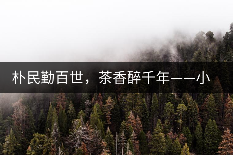 樸民勤百世，茶香醉千年——小戶賽古寨