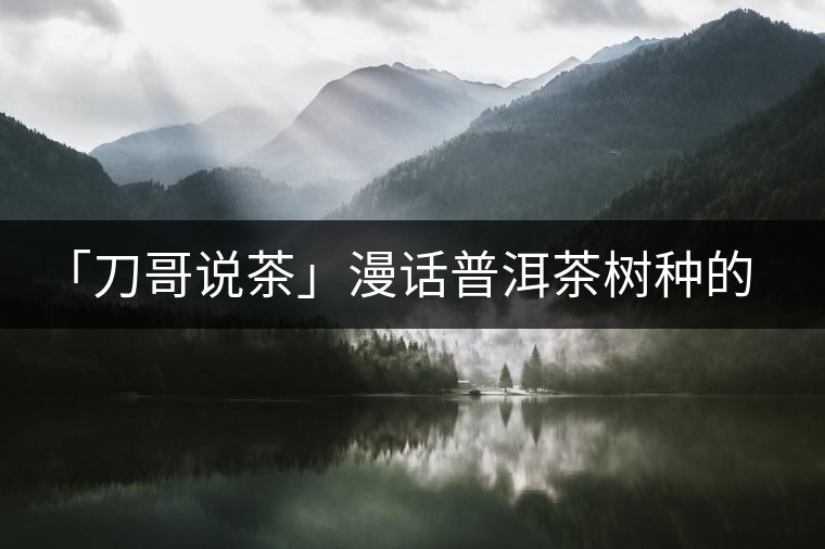 「刀哥說茶」漫話普洱茶樹種的分類