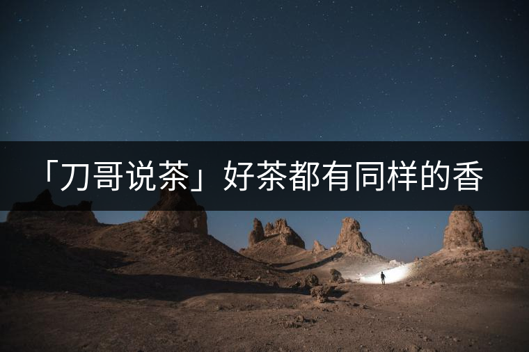 「刀哥說茶」好茶都有同樣的香，破茶卻有不同的味
