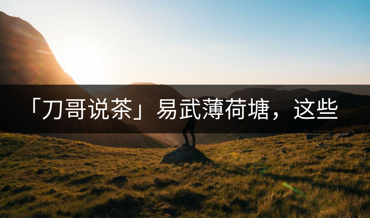 「刀哥說茶」易武薄荷塘，這些冷知識你該知道