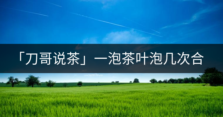 「刀哥說茶」一泡茶葉泡幾次合適?「刀哥說茶」一泡茶葉泡幾次合適？