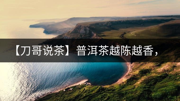 【刀哥說茶】普洱茶越陳越香，為什么新茶更受歡迎？