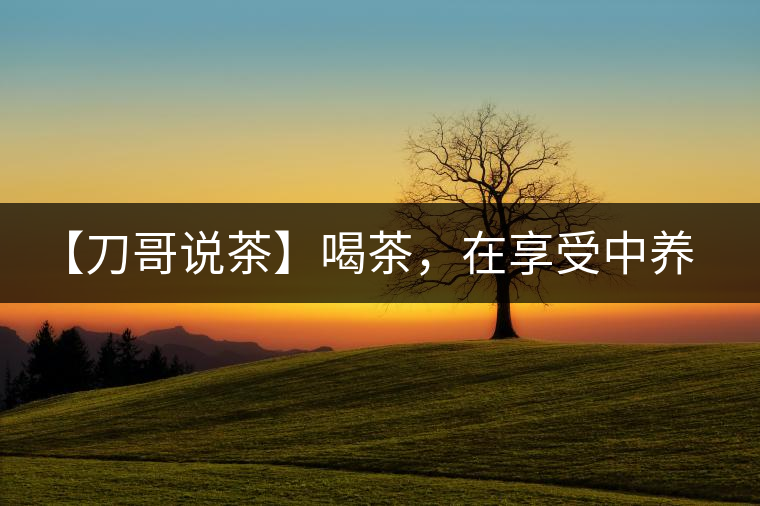 【刀哥說(shuō)茶】喝茶，在享受中養(yǎng)生的最佳選擇