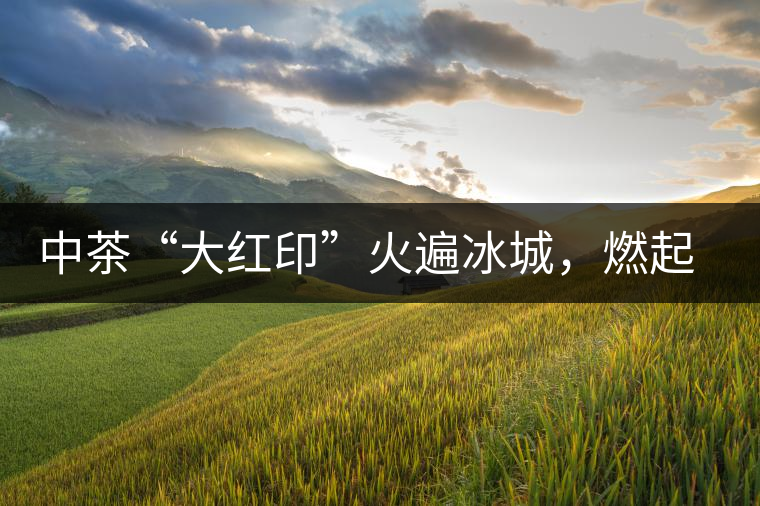中茶“大紅印”火遍冰城，燃起普洱茶新味蕾