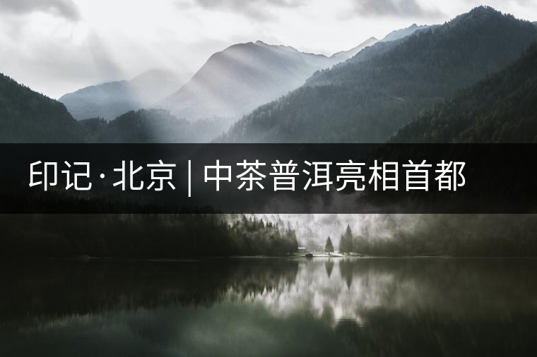印記·北京 | 中茶普洱亮相首都,“大紅印”斬獲“特別金獎(jiǎng)” 印記·北京 | 中茶普洱亮相首都,“大紅印”斬獲“特別金獎(jiǎng)”