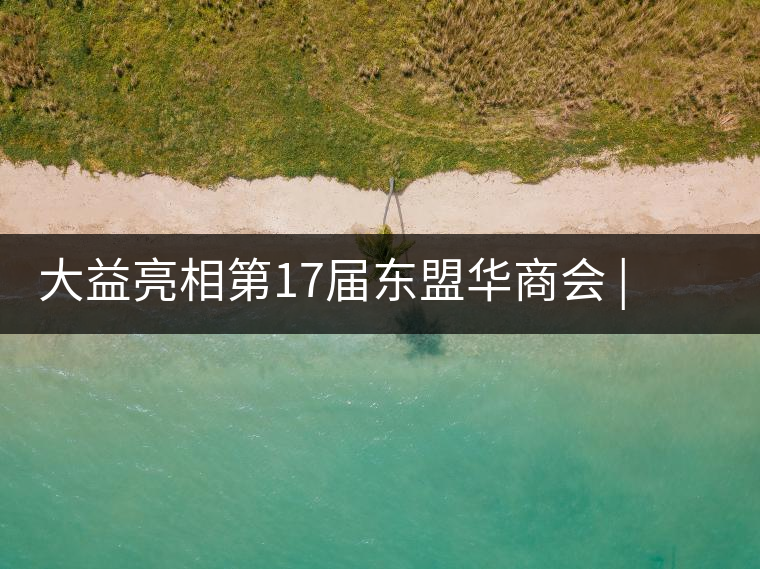 大益亮相第17屆東盟華商會 | 海內(nèi)外嘉賓共謀發(fā)展，共品大益茶