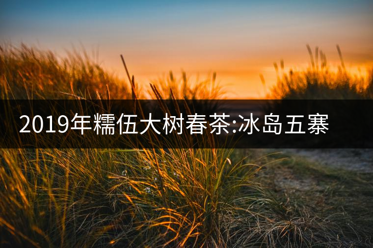 2019年糯伍大樹(shù)春茶:冰島五寨甜柔口感的代表，售價(jià)不...2019年糯伍大樹(shù)春茶：冰島五寨甜柔口感的代表，售價(jià)不到500