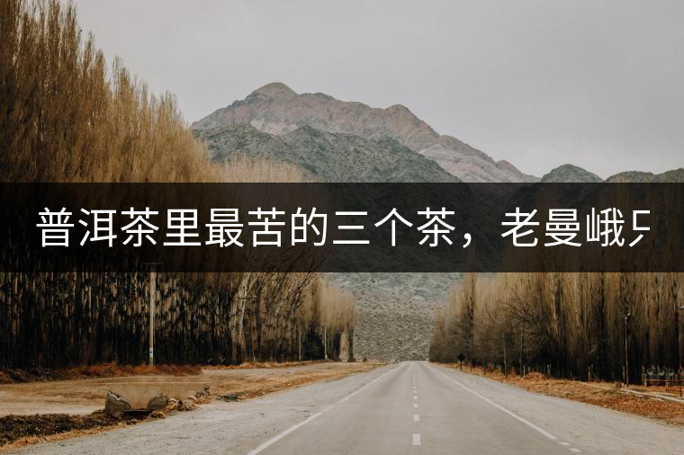 普洱茶里最苦的三個茶，老曼峨只能排第三！