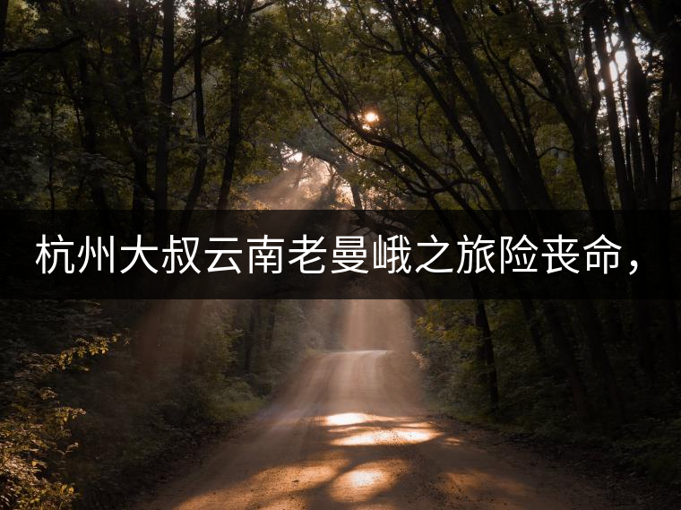 杭州大叔云南老曼峨之旅險喪命，買下茶園種茶，成普...杭州大叔云南老曼峨之旅險喪命，買下茶園種茶，成普洱圈網(wǎng)紅