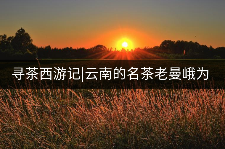 尋茶西游記|云南的名茶老曼峨為什么這么多人愛，這里...尋茶西游記｜云南的名茶老曼峨為什么這么多人愛，這里給你答案！